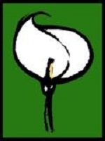 Large Logo colour